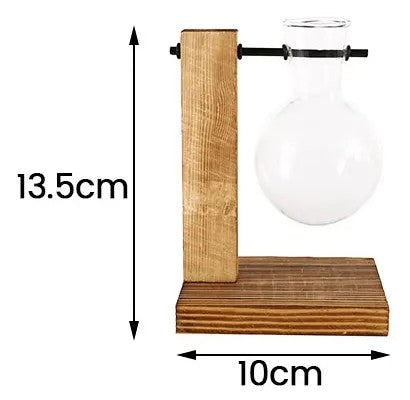 Vaso idroponico con un bulbo in vetro su supporto in legno, con le misure del fornitore: 13,5 cm di altezza e 10 cm di base