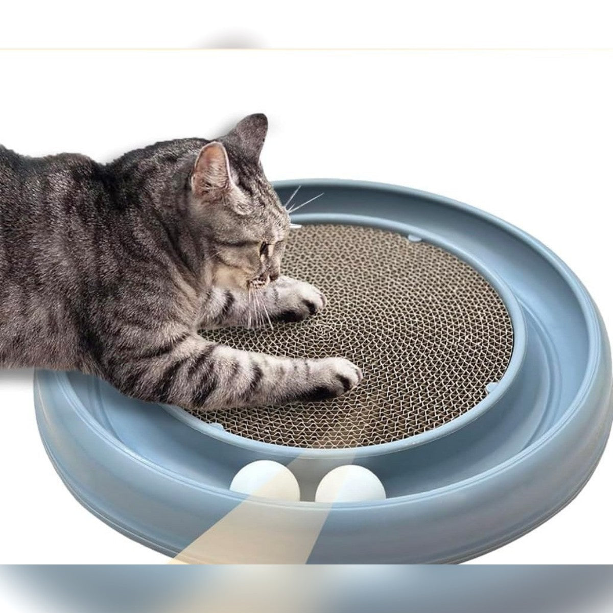 Un gatto tigrato sdraiato sul disco tiragraffi al centro del binario