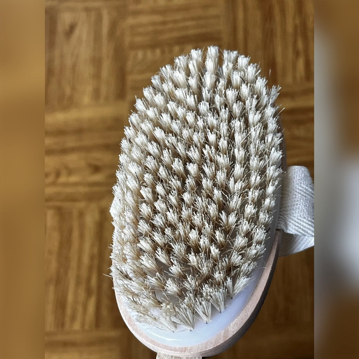 Foto di un acquirente: le setole chiare e fitte sulla testa ovale