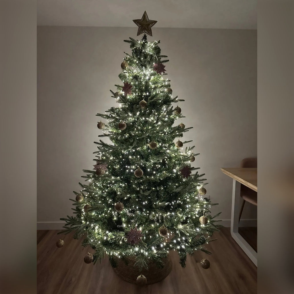 Foto di un cliente: albero di Natale addobbato con la stella oro in cima
