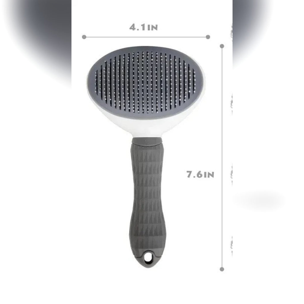 Disegno del fornitore: spazzola lunga circa 19 cm, testa larga circa 10 cm