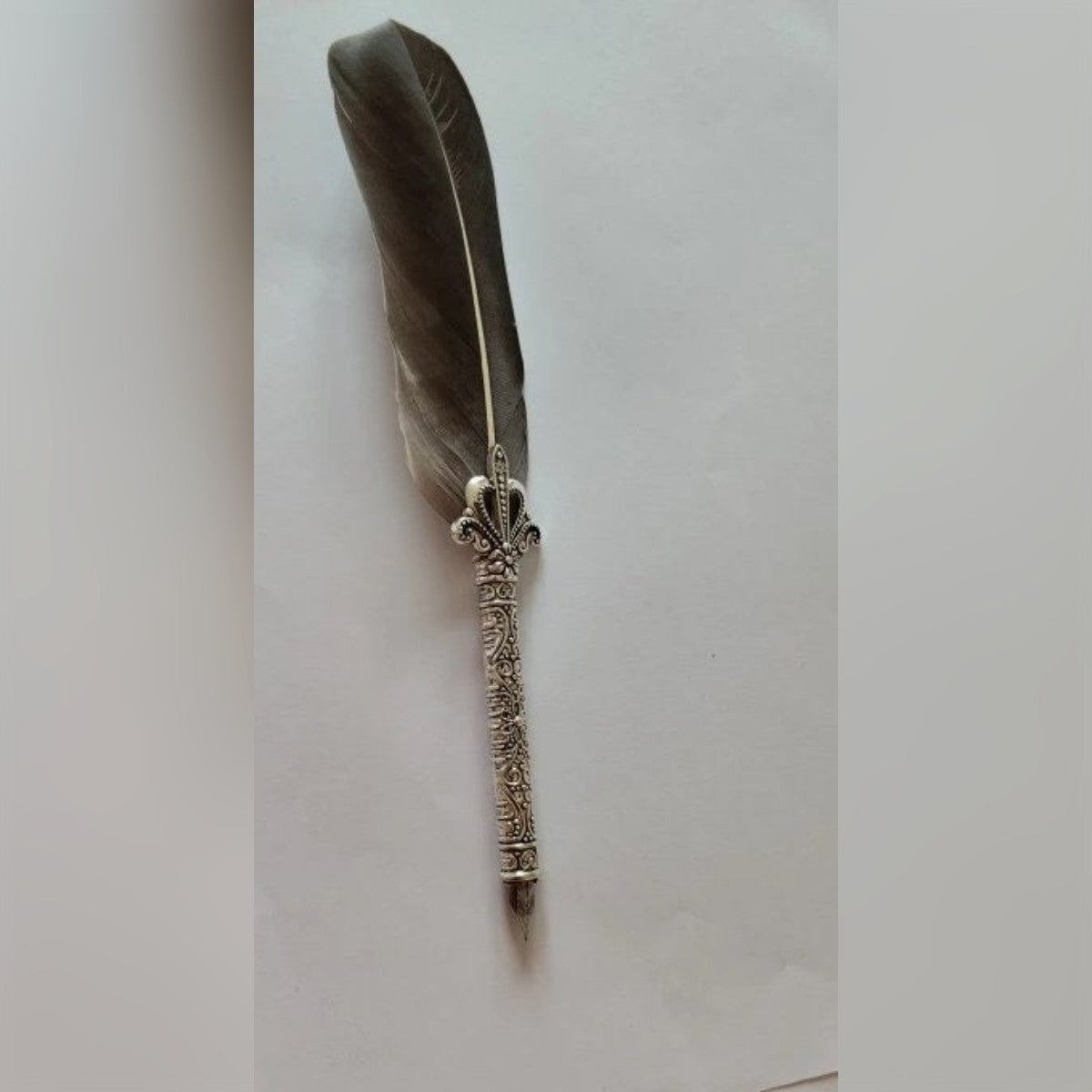 Penna d'oca grigia su carta bianca – impugnatura in metallo color argento lavorata e pennino