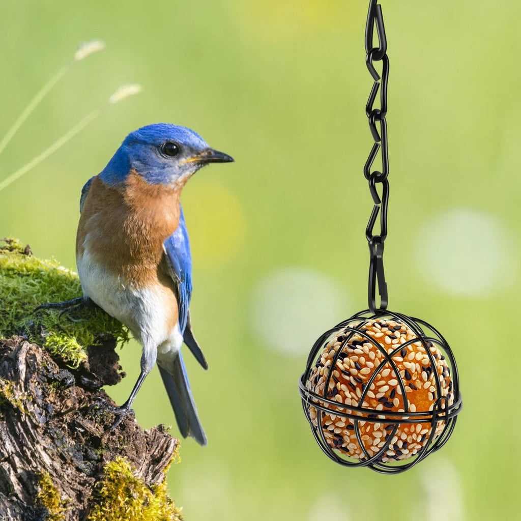 Porta palline di grasso con pallina appeso in giardino, accanto a un uccellino
