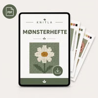 Libro digitale di modelli gratuito