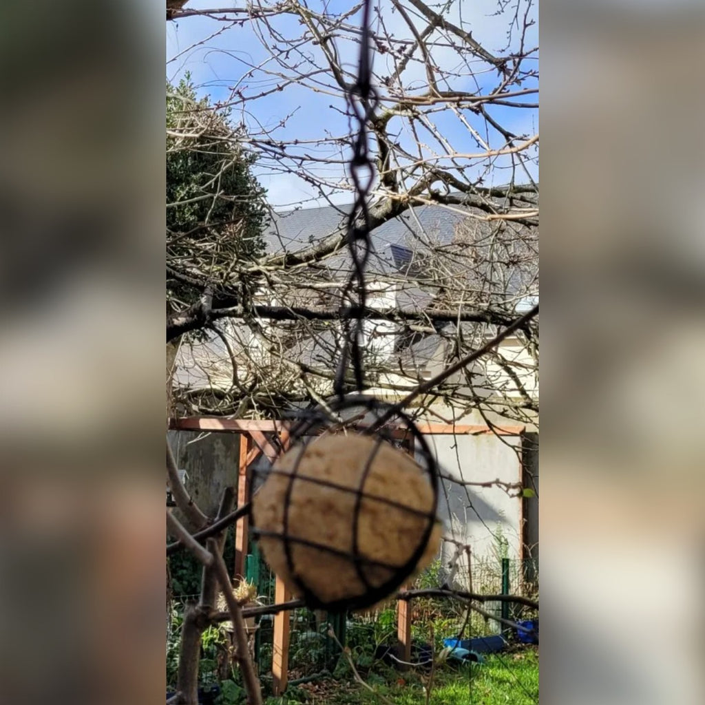Foto di un acquirente: il porta palline con una pallina di grasso appeso a un albero in giardino