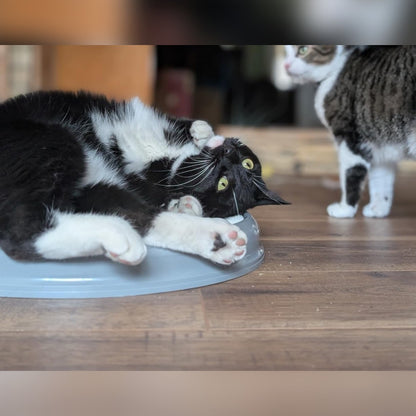 Foto di un acquirente: un gatto sdraiato sul bordo del gioco grigio