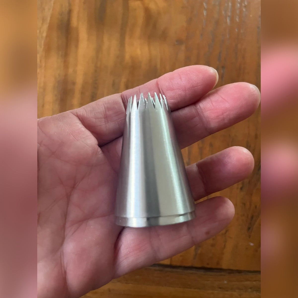 Foto di un acquirente: uno dei grandi beccucci a stella in una mano