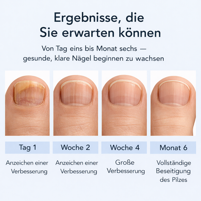 6-Monats-Ergebnistimeline