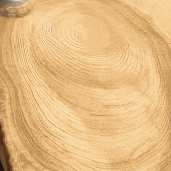 cv-gif1