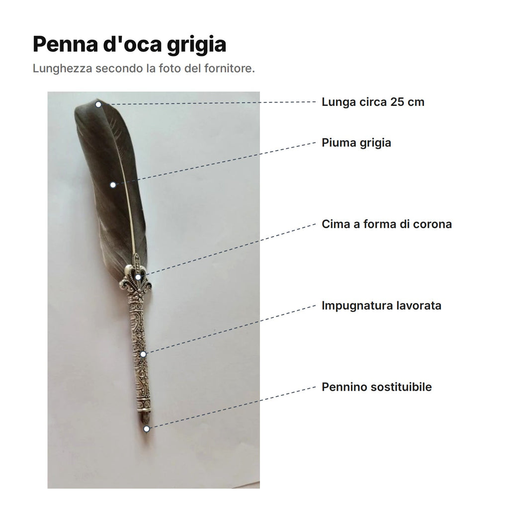 Penna d'oca grigia spiegata: piuma grigia, cima a forma di corona, impugnatura lavorata, pennino sostituibile, lunga circa 25 cm