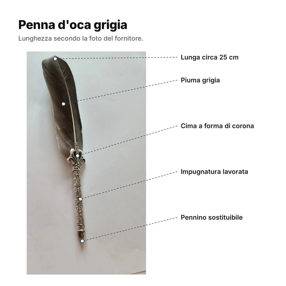 Penna d'oca grigia spiegata: piuma grigia, cima a forma di corona, impugnatura lavorata, pennino sostituibile, lunga circa 25 cm