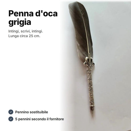 Penna d'oca grigia – impugnatura in metallo color argento lavorata e pennino sostituibile, lunga circa 25 cm