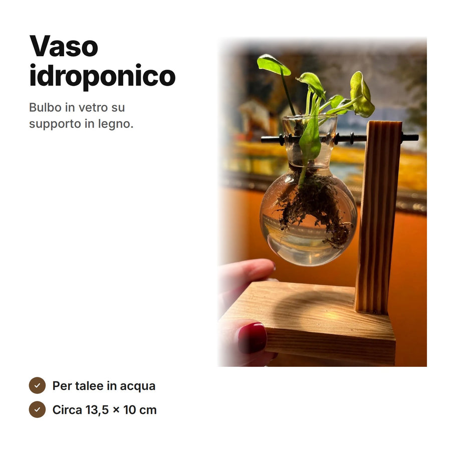 Vaso idroponico con bulbo in vetro e supporto in legno, circa 13,5 × 10 cm – per talee in acqua, pianta non inclusa