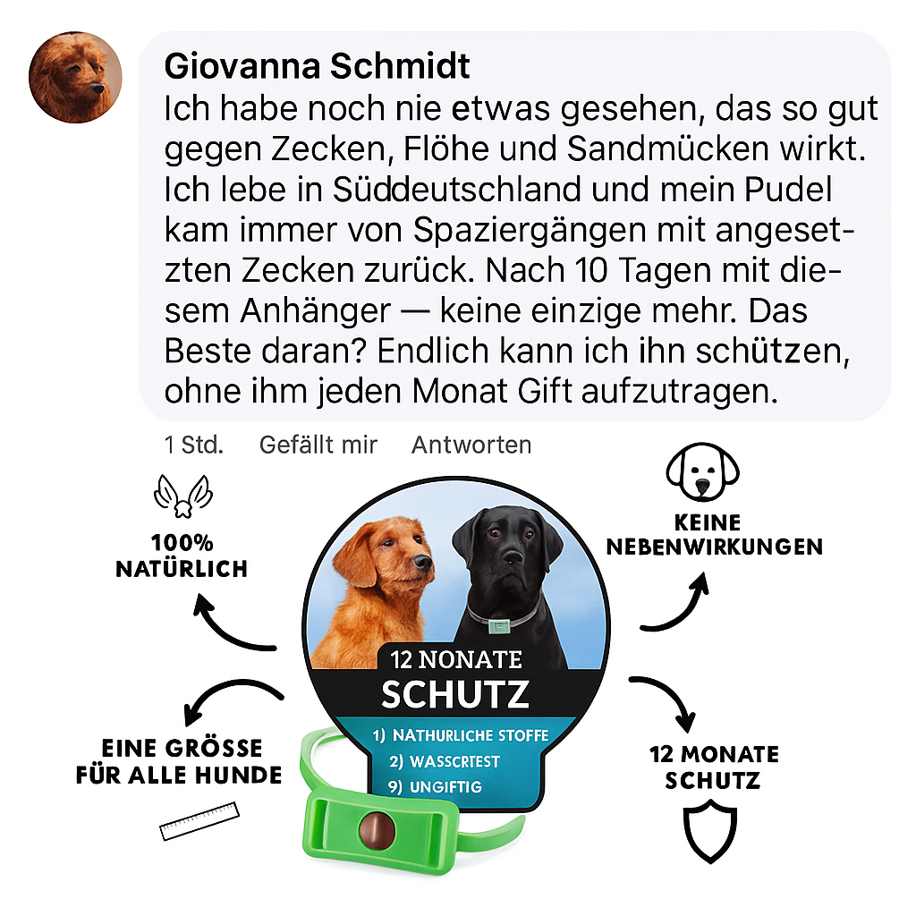 pet_de_gallery_3