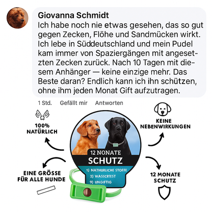 pet_de_gallery_3